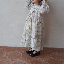 Load image into Gallery viewer, Roselin vintage dress