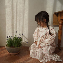 Load image into Gallery viewer, Roselin vintage dress