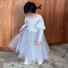 Load image into Gallery viewer, Princess tutu dress